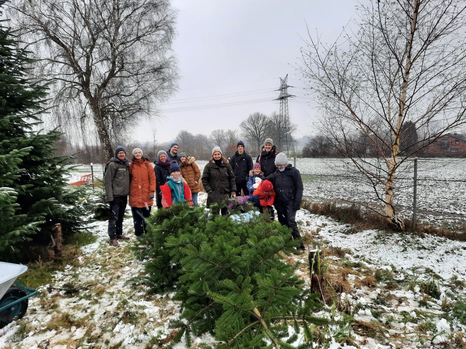 Mehr über den Artikel erfahren Weihnachtsbaum, der Erste von hoffentlich vielen